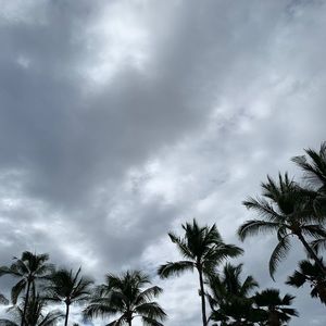 Meet your Posher, Evan